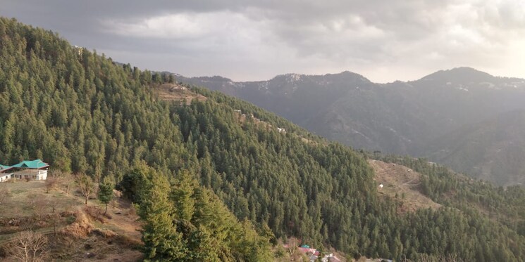 Master Bedroom, mashobra 6+ Bedroom 4500 Sq.Ft. Independent House In Mashobra Shimla 8820581