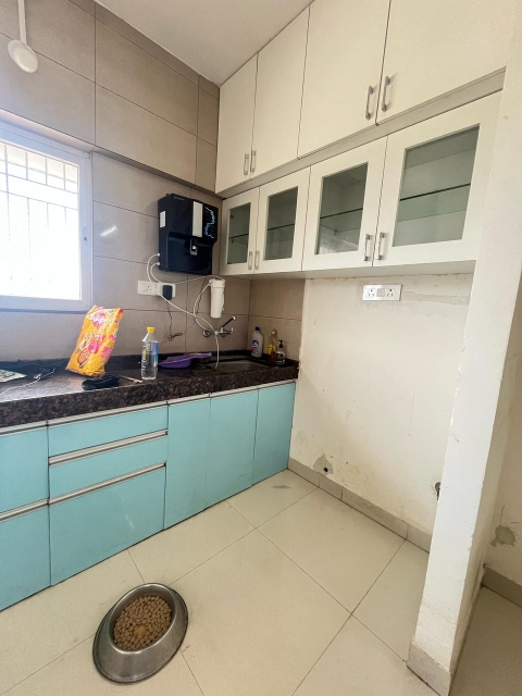 1 BHK Apartment For Rent in Gera Shrishti