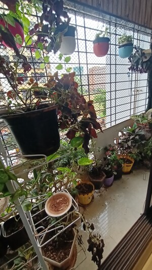 Balcony in 3 BHK Apartment at Bethel Apartment Mira Road, Mira Road East – for Sale