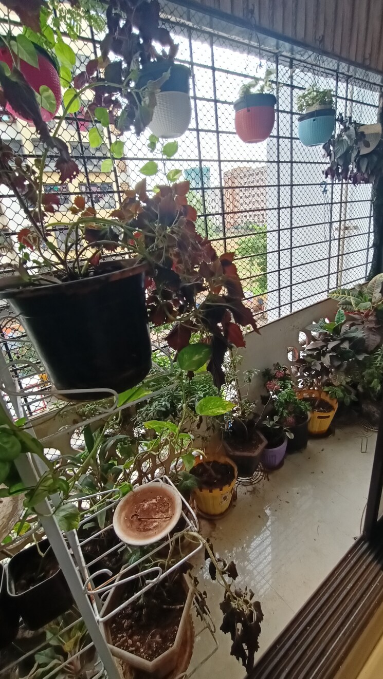 Balcony, bethel-apartment-mira-road 3 Bedroom 1350 Sq.Ft. Apartment In Mira Road East Thane 8820944