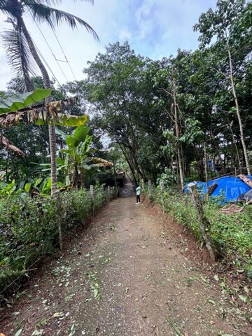  Plot – Exterior View View at Paruthippara - for Sale
