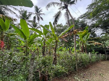 Plot Area in  Plot at Paruthippara – for Sale