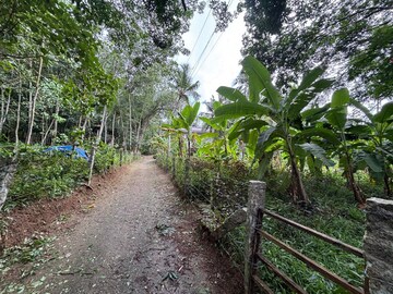  Plot For Sale in Paruthippara