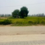 231 Sq.Yd. Plot in Broker 