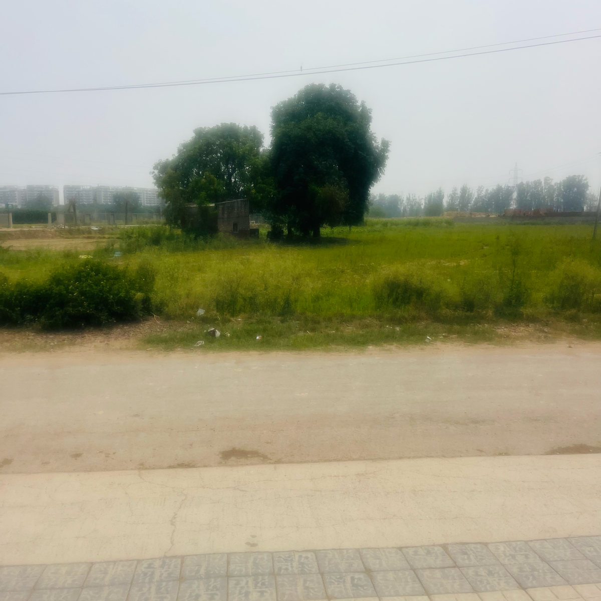 Plot For Sale in Broker 