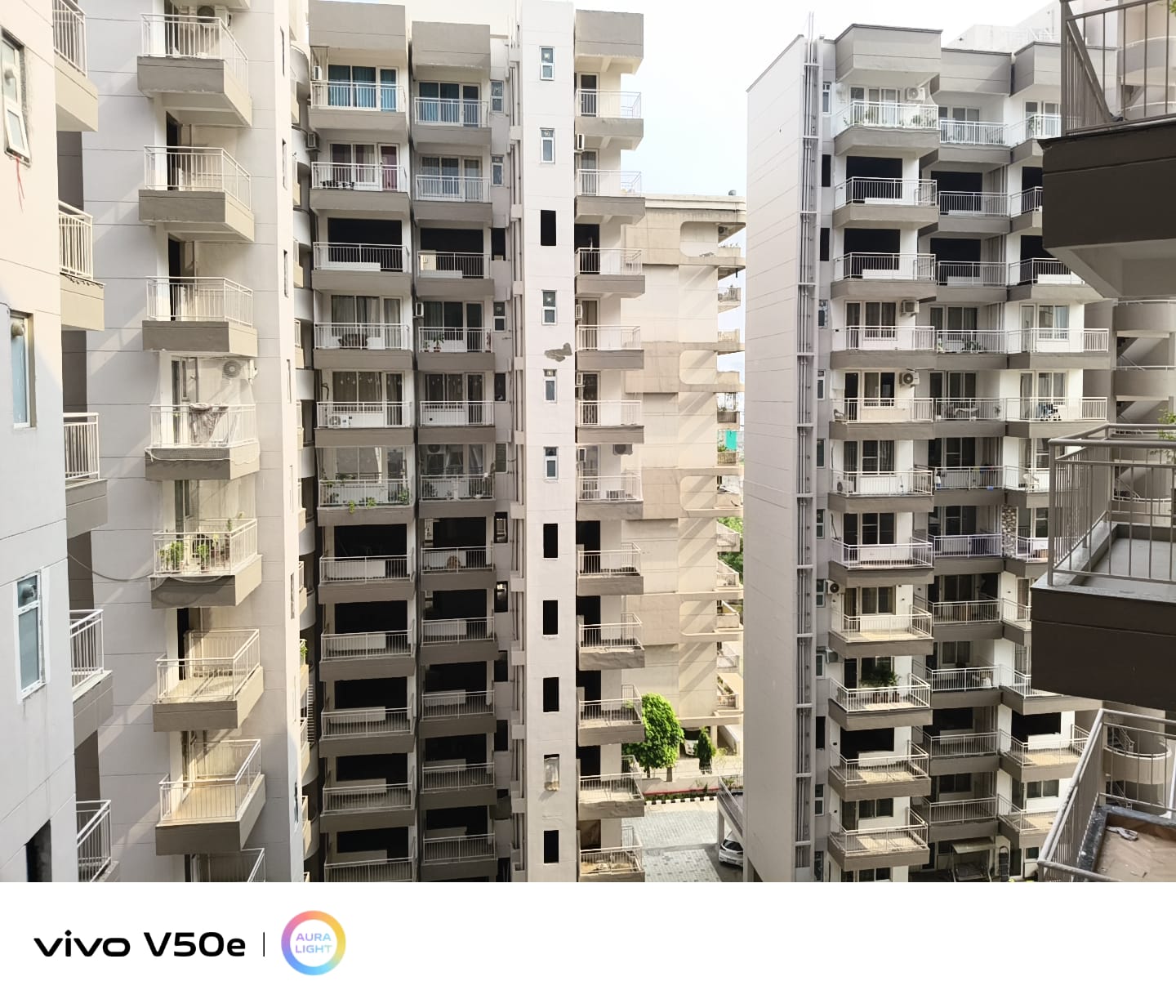 3 BHK + Pooja Room,Study Room Apartment For Rent in Ram Shanti Apartment