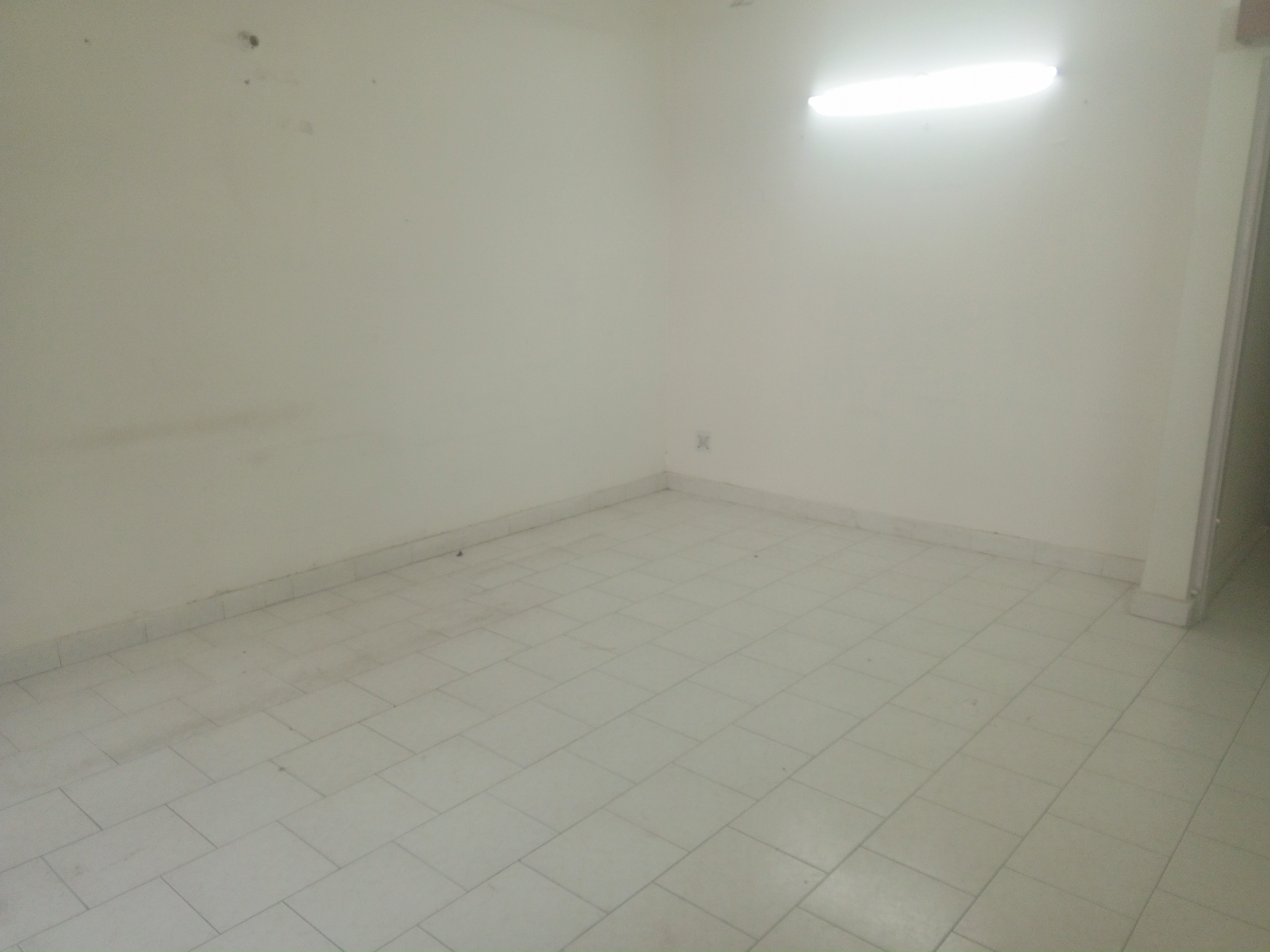 3 BHK + Servant Room,Study Room Apartment For Rent in Karanvir Towers