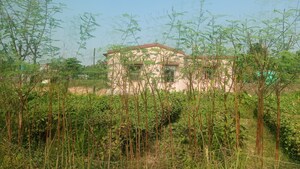 Plot Area in  Plot at AmtalA-Baruipur Road – for Sale