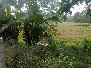 Plot Area in  Plot at AmtalA-Baruipur Road – for Sale