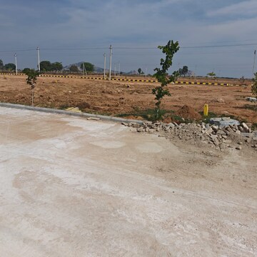 Plot Area in  Plot at Fortune 18, Amangal – for Sale