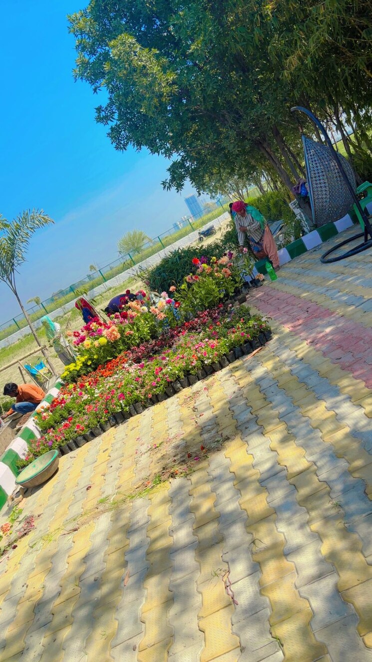 Garden, tech zone 4 greater noida 5 Bedroom 2000 Sq.Yd. Villa In Tech Zone 4 Greater Noida Greater Noida 8821586