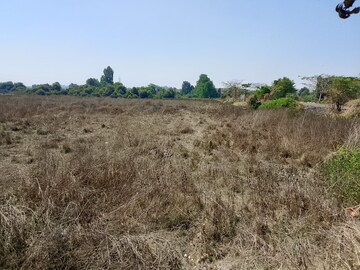 Plot Area in  Land at Old Panvel – for Sale