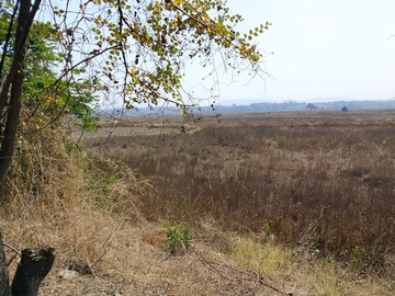 Plot Area in  Land at Old Panvel – for Sale