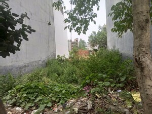 Plot Area in  Plot at Sarin Farm CHS, Habibpur – for Sale