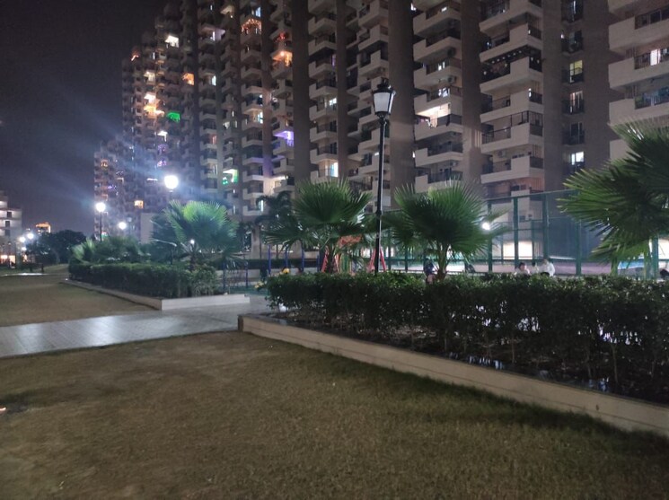 Swimming Pool, today-kings-park 3 Bedroom 1425 Sq.Ft. Apartment In Omega I Greater Noida Greater Noida 8821852