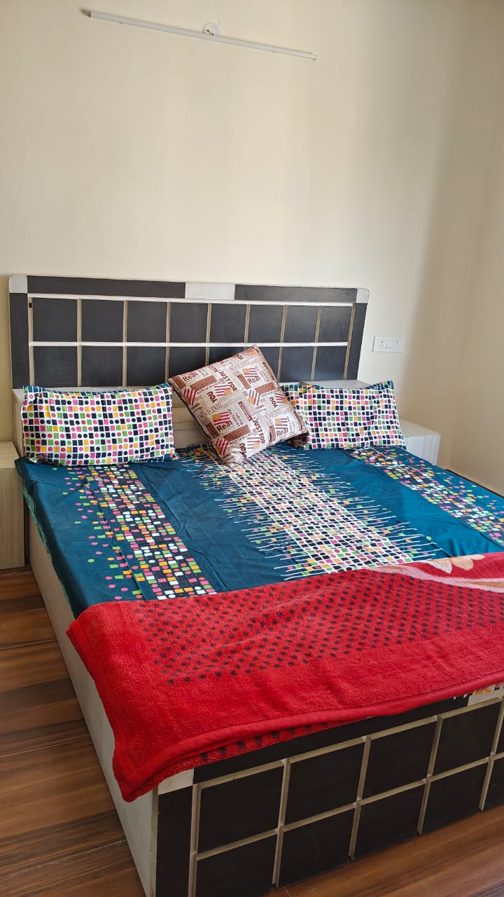 3 BHK Builder Floor For Rent in Ardee City