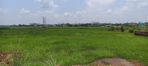 Plot Area in  Plot at Patrapada – for Sale