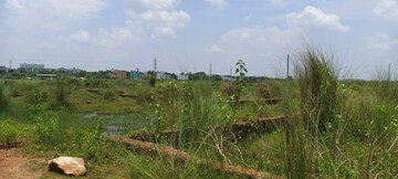 Plot Area in  Plot at Patrapada – for Sale