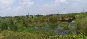 Plot Area in  Plot at Patrapada – for Sale