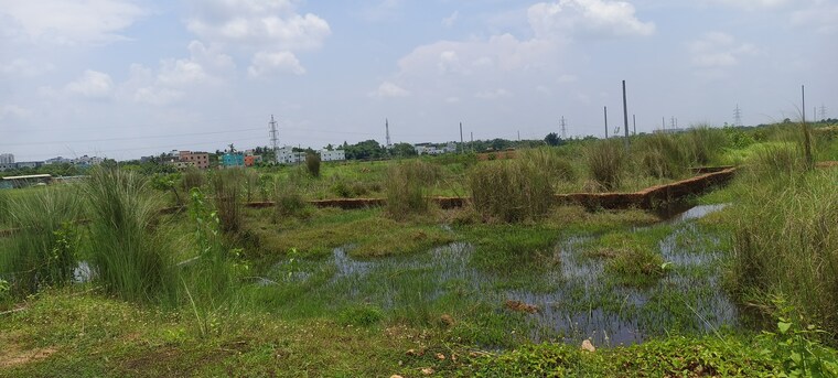 undefined, patrapada  1226 Sq.Ft. Plot In Patrapada Bhubaneswar 8821937