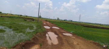Plot Area in  Plot at Patrapada – for Sale