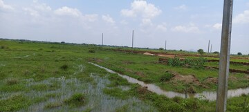 Plot Area in  Plot at Patrapada – for Sale