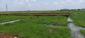 Plot Area in  Plot at Patrapada – for Sale