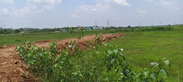Plot Area in  Plot at Patrapada – for Sale