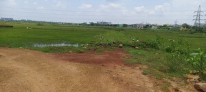 Plot Area in  Plot at Patrapada – for Sale