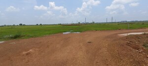 Plot Area in  Plot at Patrapada – for Sale