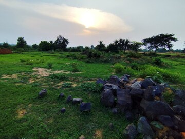 Plot Area in  Plot at Nh 2 – for Sale
