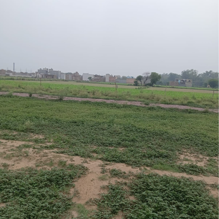 undefined, sector 56  60 Sq.Yd. Plot In Sector 56 Faridabad 8822762