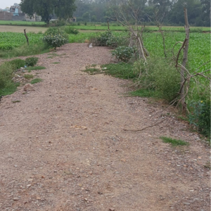 Plot Area in  Plot at Sector 56 – for Sale