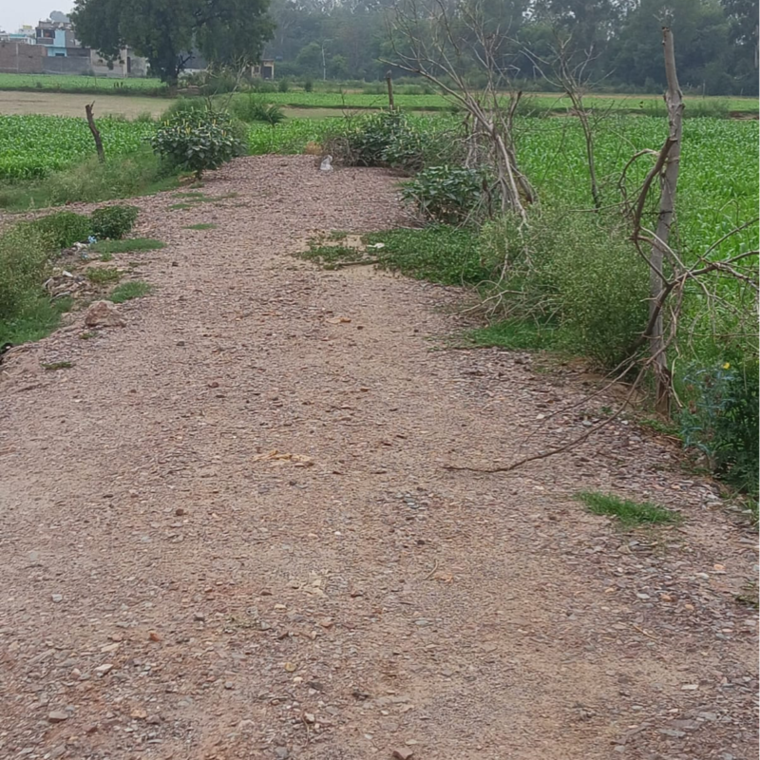 undefined, sector 56  75 Sq.Yd. Plot In Sector 56 Faridabad 8822784