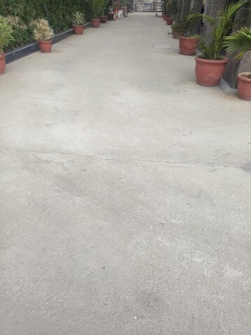 5 BHK Apartment – Exterior View View at Sector 52 - for Rent
