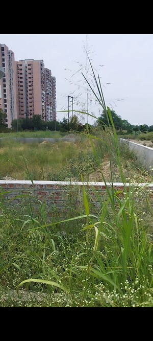 Plot Area in  Plot at GDA Madhuban Bapu Dham Society, Madhuban Bapudham – for Sale