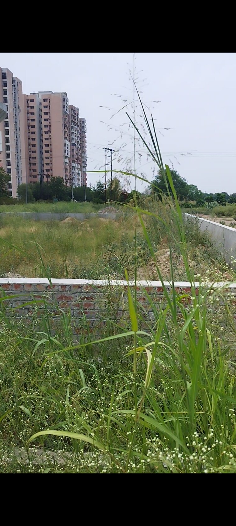 undefined, gda-madhuban-bapu-dham-society  360 Sq.Yd. Plot In Madhuban Bapudham Ghaziabad 8823061