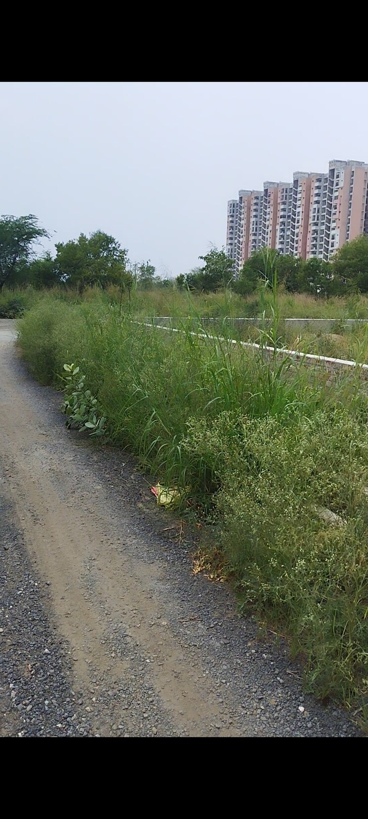 undefined, gda-madhuban-bapu-dham-society  360 Sq.Yd. Plot In Madhuban Bapudham Ghaziabad 8823061