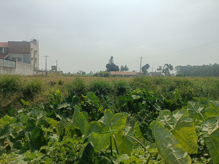 undefined, kodigehalli  1600 Sq.Ft. Plot In Kodigehalli Bangalore 8823046