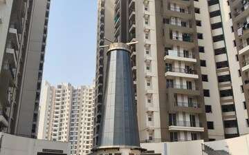 2.5 BHK Apartment For Rent in Amrapali Golf Homes, Sector 4 Greater Noida