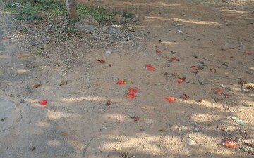 Plot For Sale in Dilsukh Nagar
