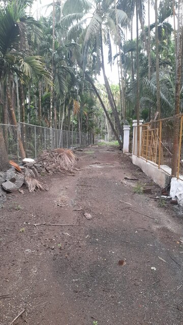 Plot Area in  Plot at Alibag – for Sale