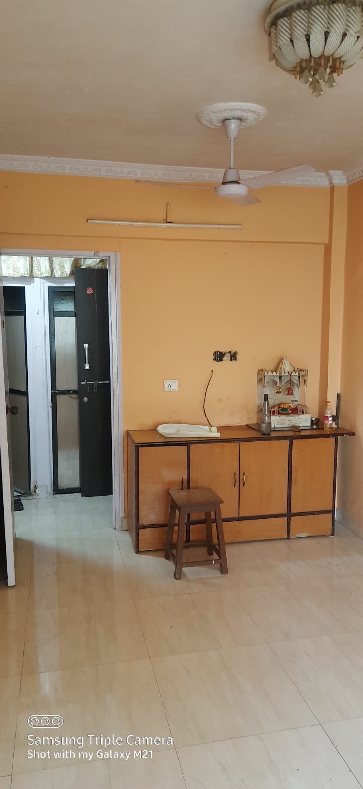 1 BHK Apartment For Rent in Virgo CHS