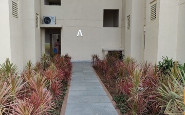 Industrial Plot For Rent in Urban The Zirk, Nabha