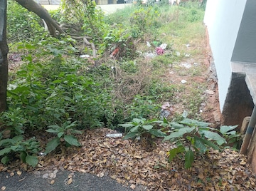 Plot Area in  Plot at Padmanabha Nagar – for Sale