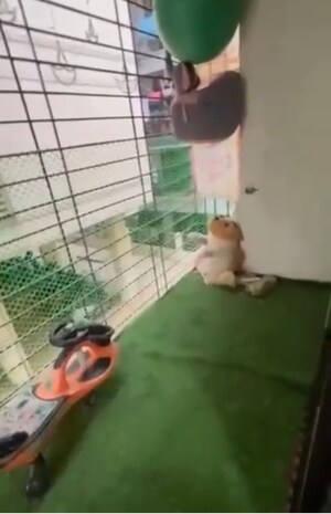 Balcony in 1 BHK Apartment at Karanjade – for Sale