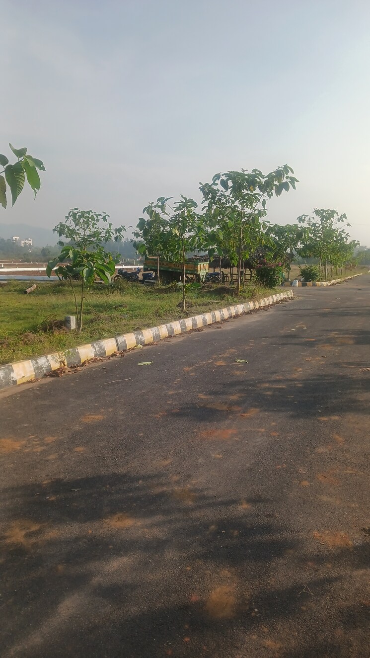 Swimming Pool, gollapalem  200 Sq.Yd. Plot In Gollapalem Vizag 8824760