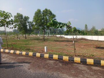 Plot Area in  Plot at Gollapalem – for Sale