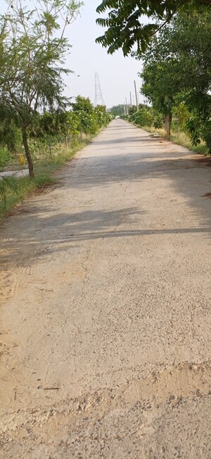 Plot Area in  Plot at Jewar – for Sale