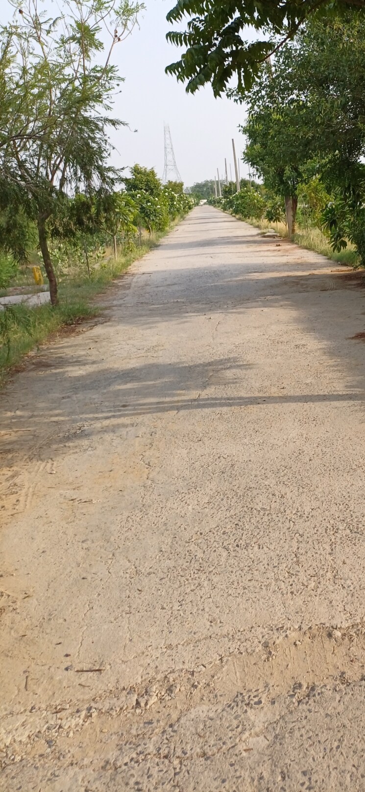 undefined, jewar  198 Sq.Yd. Plot In Jewar Greater Noida 8824794